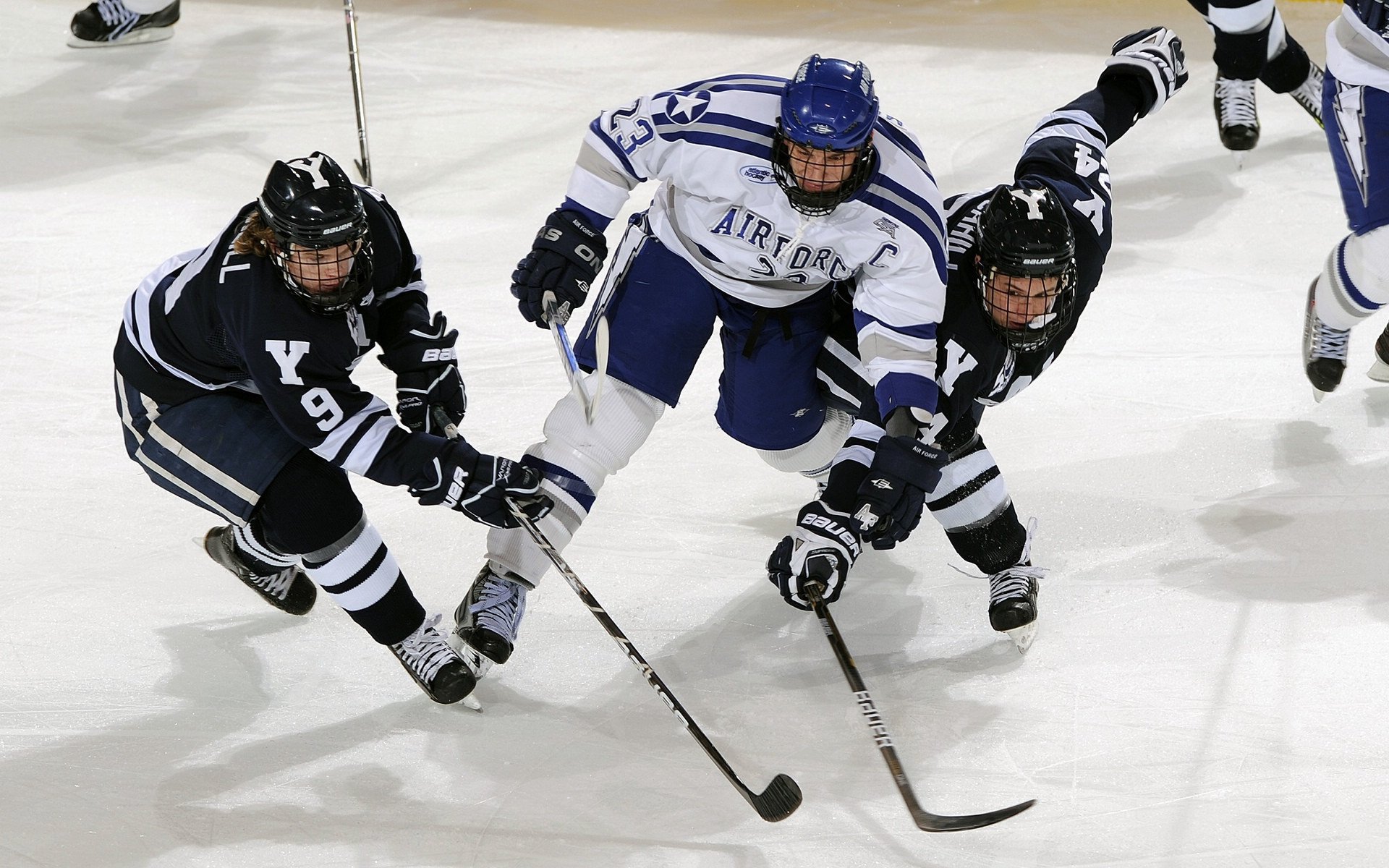 IM Sport-赛道上的权力更迭，威廉姆斯力克法拉利，诺里斯统治全场