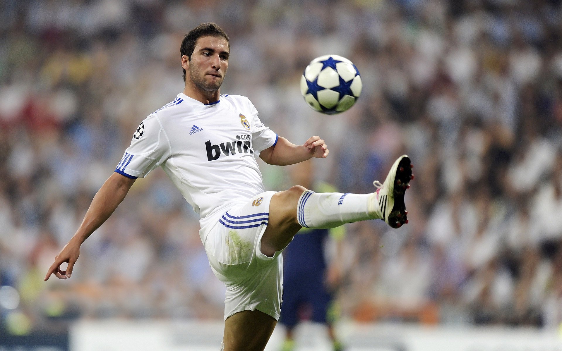 塞维利亚轻取比利时，贝林厄姆扛起全队，新一代领袖的崛起